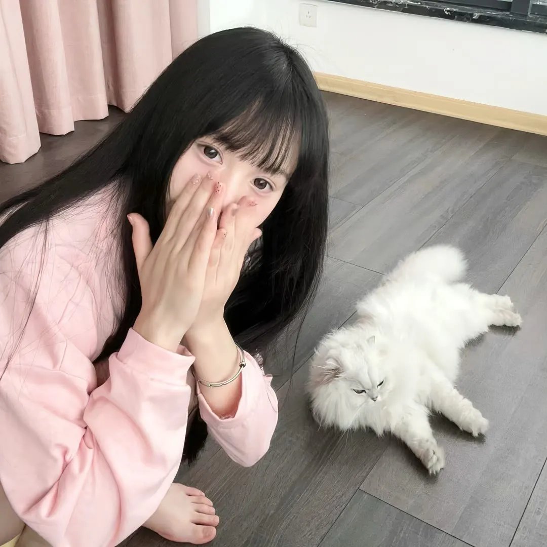 为什么猫都叫不来 在线观看